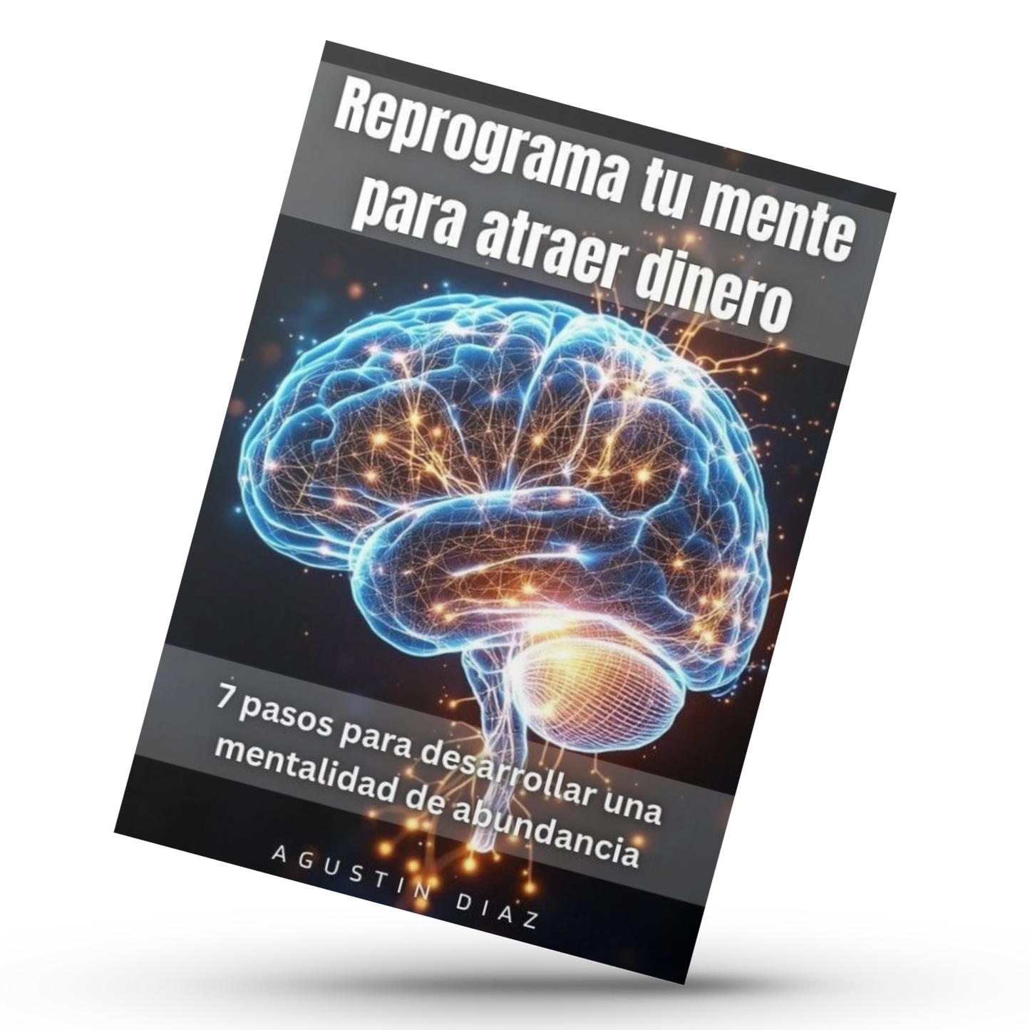 “Reprograma tu mente para atraer dinero”